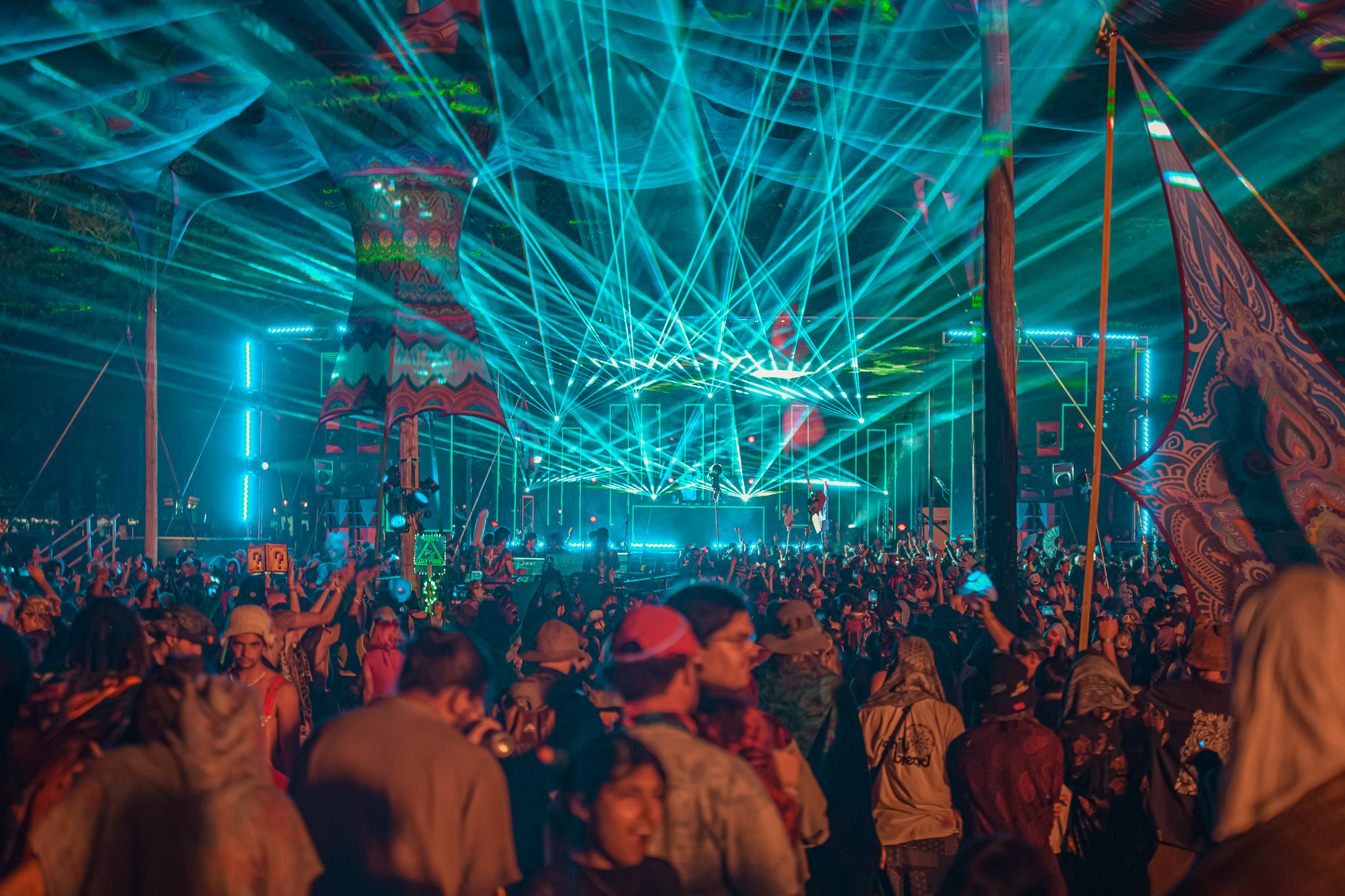 System 6